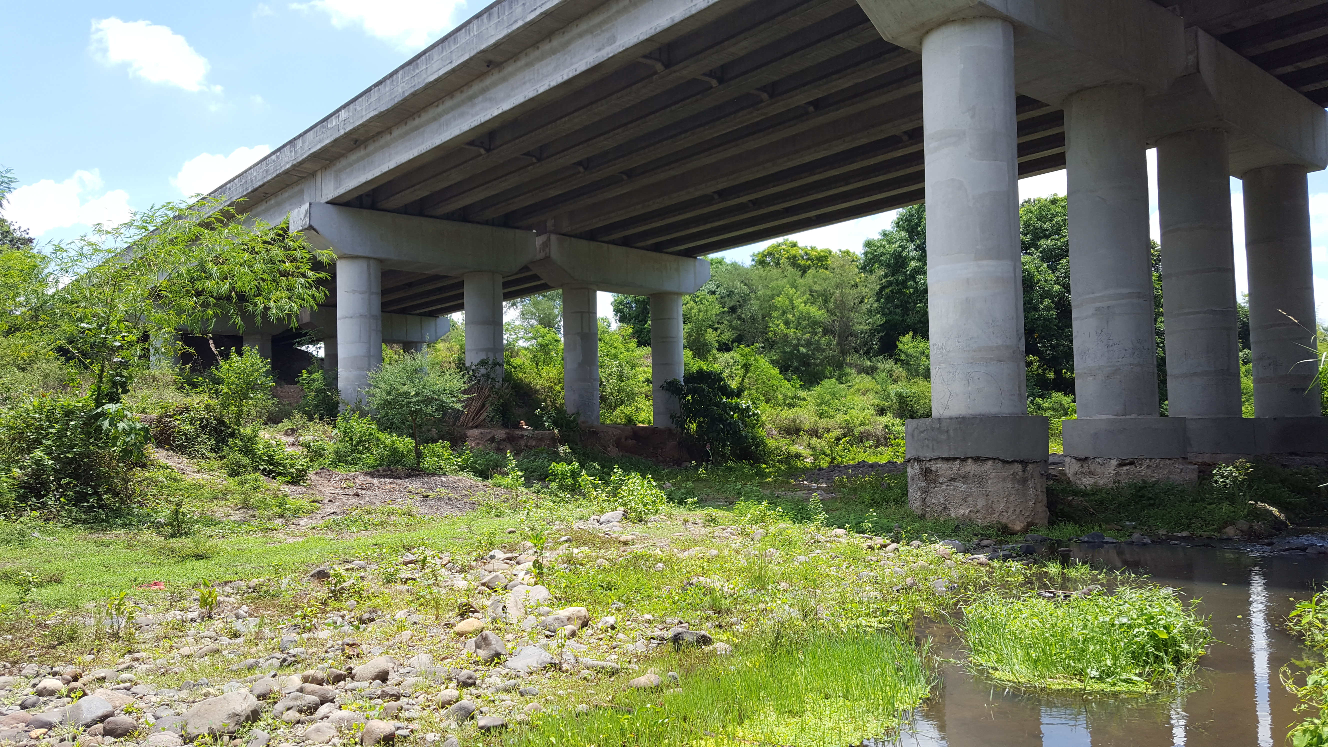 MNTC SCTEX_1